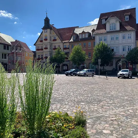 Sonneneck: Cozy Thuringian Forest Retreat With Parking And Netflix Apartment Schleusingen